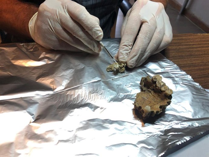 Un estudio pionero revela la diversidad genética de las comunidades fenicio-púnicas del Mediterráneo Occidental