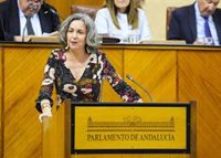 El Parlamento rechaza con los votos de PP-A y Vox tramitar la ley de Adelante contra la discriminación por menopausia