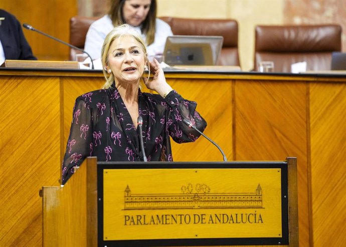 La consejera de Cultura, Patricia del Pozo, este miércoles en el Pleno del Parlamento.