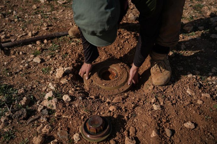 Uma equipe do Exército sírio trabalha para limpar e detonar campos minados no vilarejo de Umm Rajim, no leste de Idlib (noroeste).