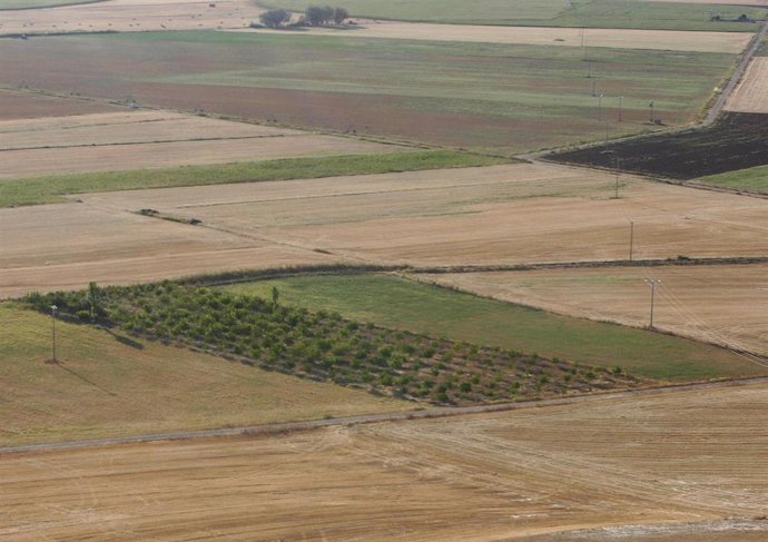 Archivo - Vista general de tierras de cultivos de Castilla y León
