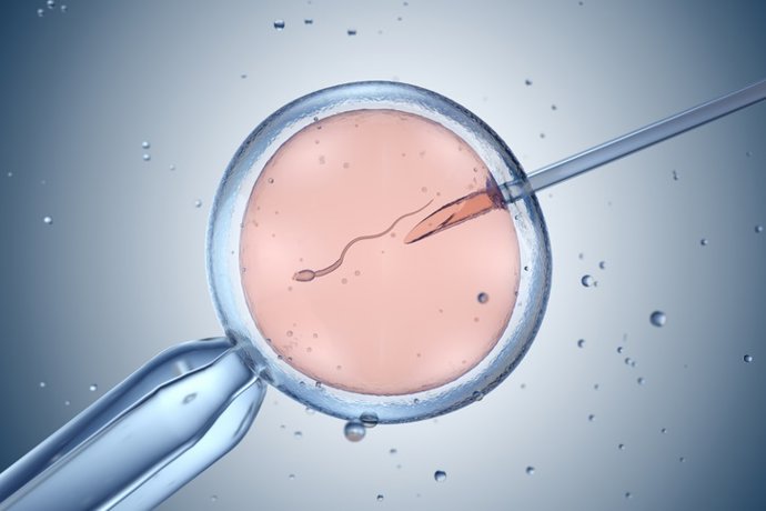 Archivo - Arquivo - Inseminação artificial, fertilização in vitro