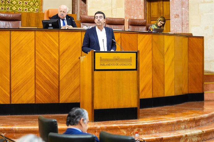 El diputado del PSOE-A Mario Jiménez dirige una interpelación al consejero de la Presidencia, Antonio Sanz, en el Pleno del Parlamento andaluz.