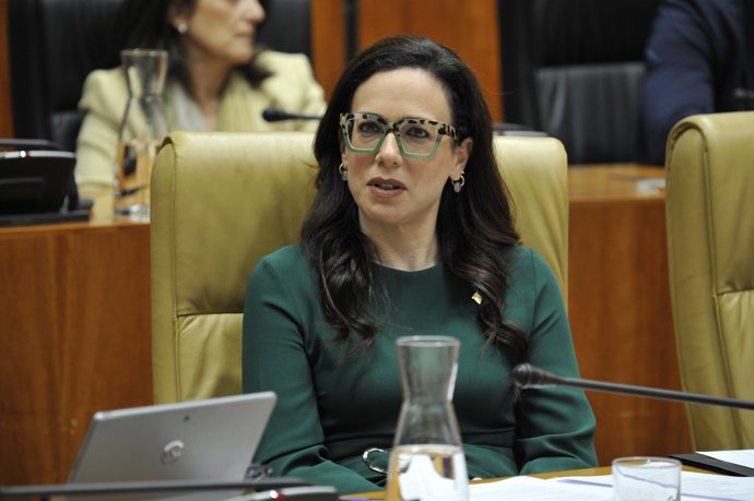 La consejera de Salud y Servicios Sociales, Sara García Espada, en su escaño en el parlamento regional.