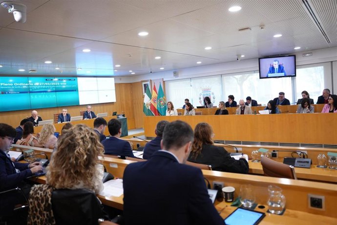 Imagen de archivo del pleno de la Diputación de Sevilla 