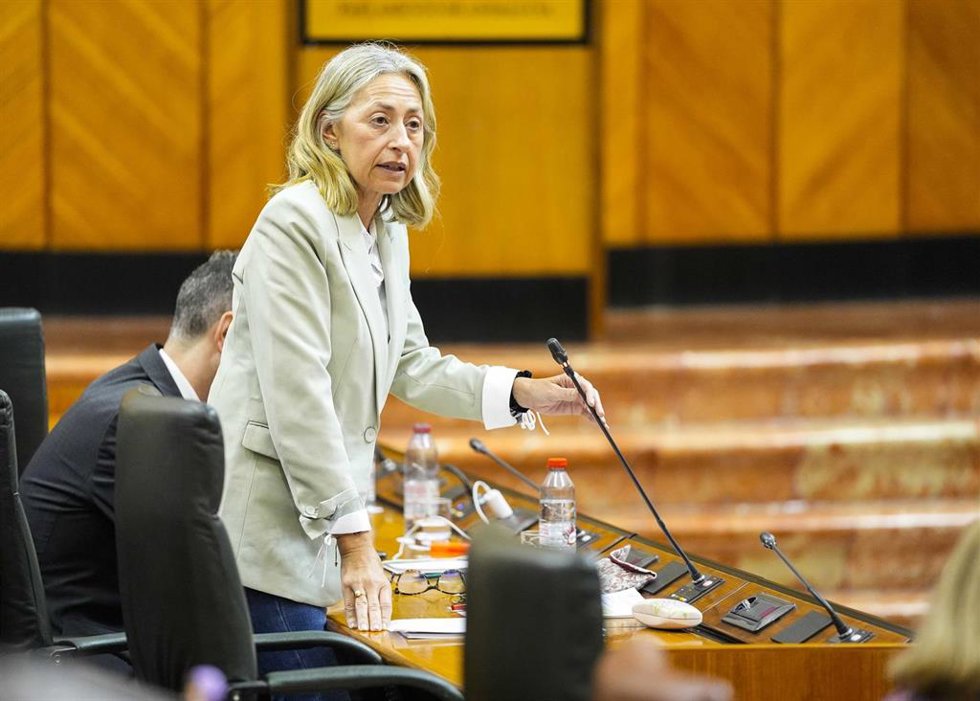 La consejera de Salud y Consumo, Rocío Hernández, interviene en el Pleno del Parlamento andaluz.
