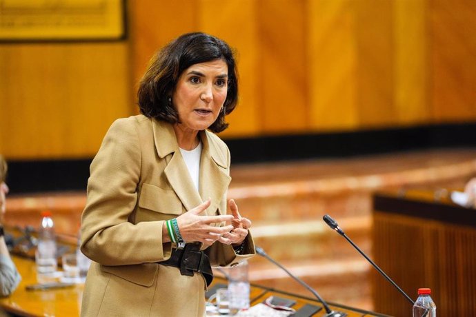 La consejera de Empleo, Empresa y Trabajo Autónomo, Rocío Blanco, en el Pleno del Parlamento, a fecha de 24 de abril de 2025.