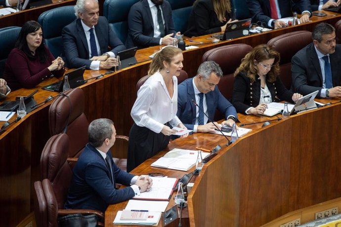 La consejera de Familia, Juventud y Asuntos Sociales, Ana Dávila, interviene durante un pleno en la Asamblea de Madrid, a 24 de abril de 2025, en Madrid (España).