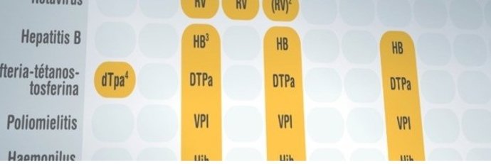 Imagen de archivo del Calendario Oficial de Vacunaciones para toda la vida en Castilla y León