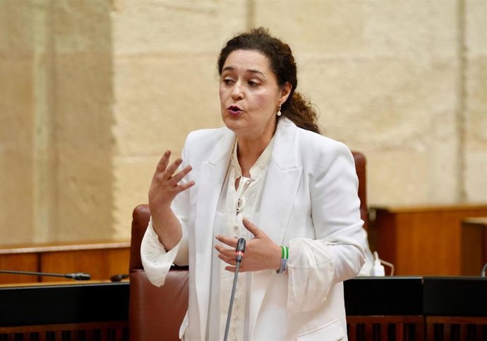 La portavoz de Por Andalucía, Inmaculada Nieto, en la sesión plenaria del 24 de abril de 2025.