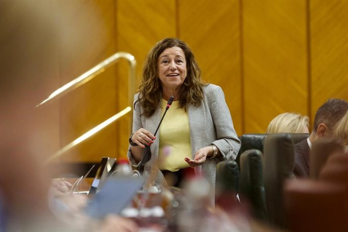 La consejera de Desarrollo Educativo y Formación, María del Carmen Castillo, en el Pleno del Parlamento andaluz.