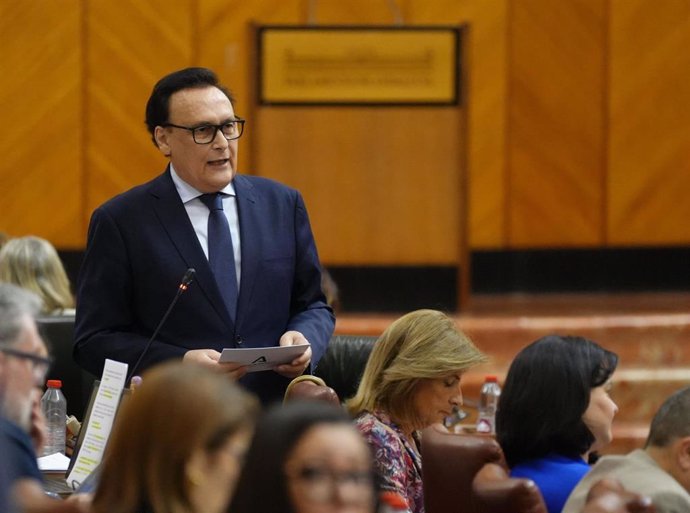 El consejero de Universidad de la Junta de Andalucía, José Carlos Gómez Villamandos, en la sesión plenaria del 24 de abril de 2025.