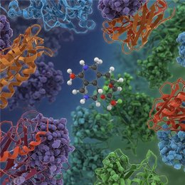 Molécula en una foto de archivo de la UdG.