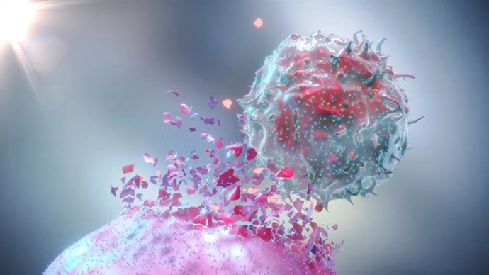 Archivo - Arquivo - Célula do sistema imunológico destruindo uma célula cancerígena.