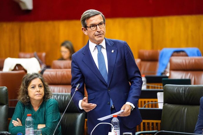 El consejero de Industria, Energía y Minas de la Junta de Andalucía, Jorge Paradela, durante su intervención en la sesión del Pleno del Parlamento.