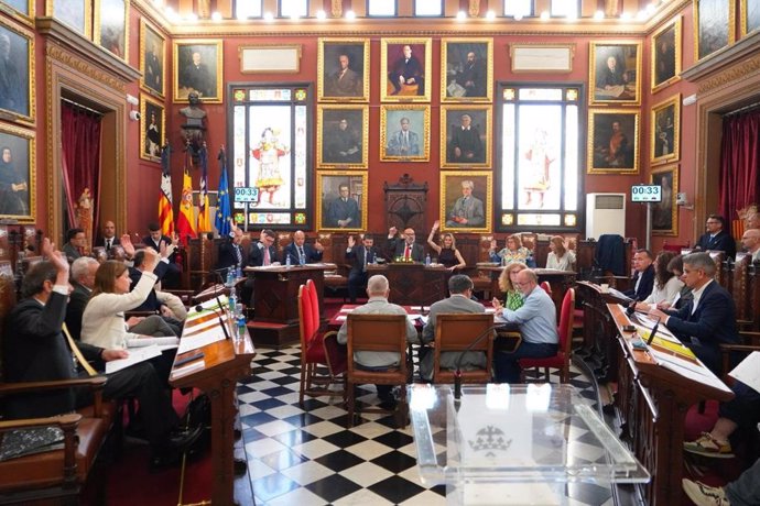 El pleno del Ayuntamiento de Palma, este jueves.