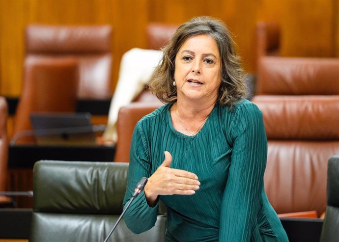 La consejera de Sostenibilidad y Medio Ambiente de la Junta de Andalucía, Catalina García, en la sesión de control del Pleno del Parlamento.