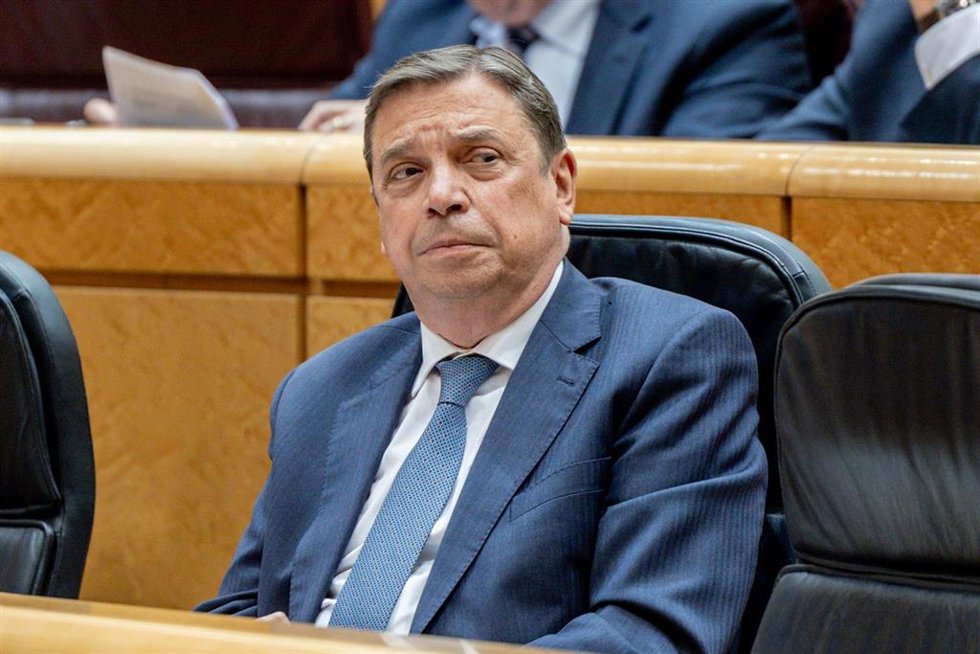 El ministro de Agricultura, Pesca y Alimentación, Luis Planas