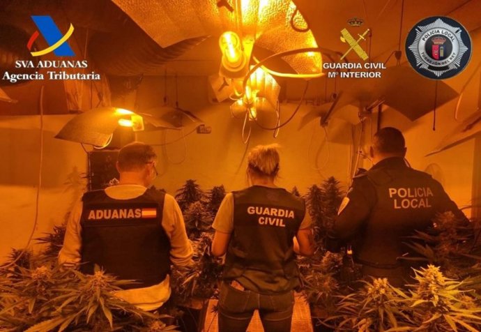 Agentes en una plantación indoor de marihuana de la provincia de Guadalajara.