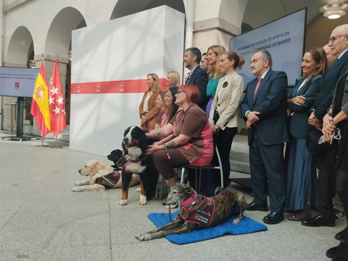 Cães de apoio nos tribunais da Comunidade de Madri