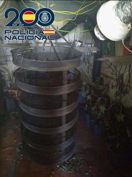 Plantación indoor de marihuana en Badajoz