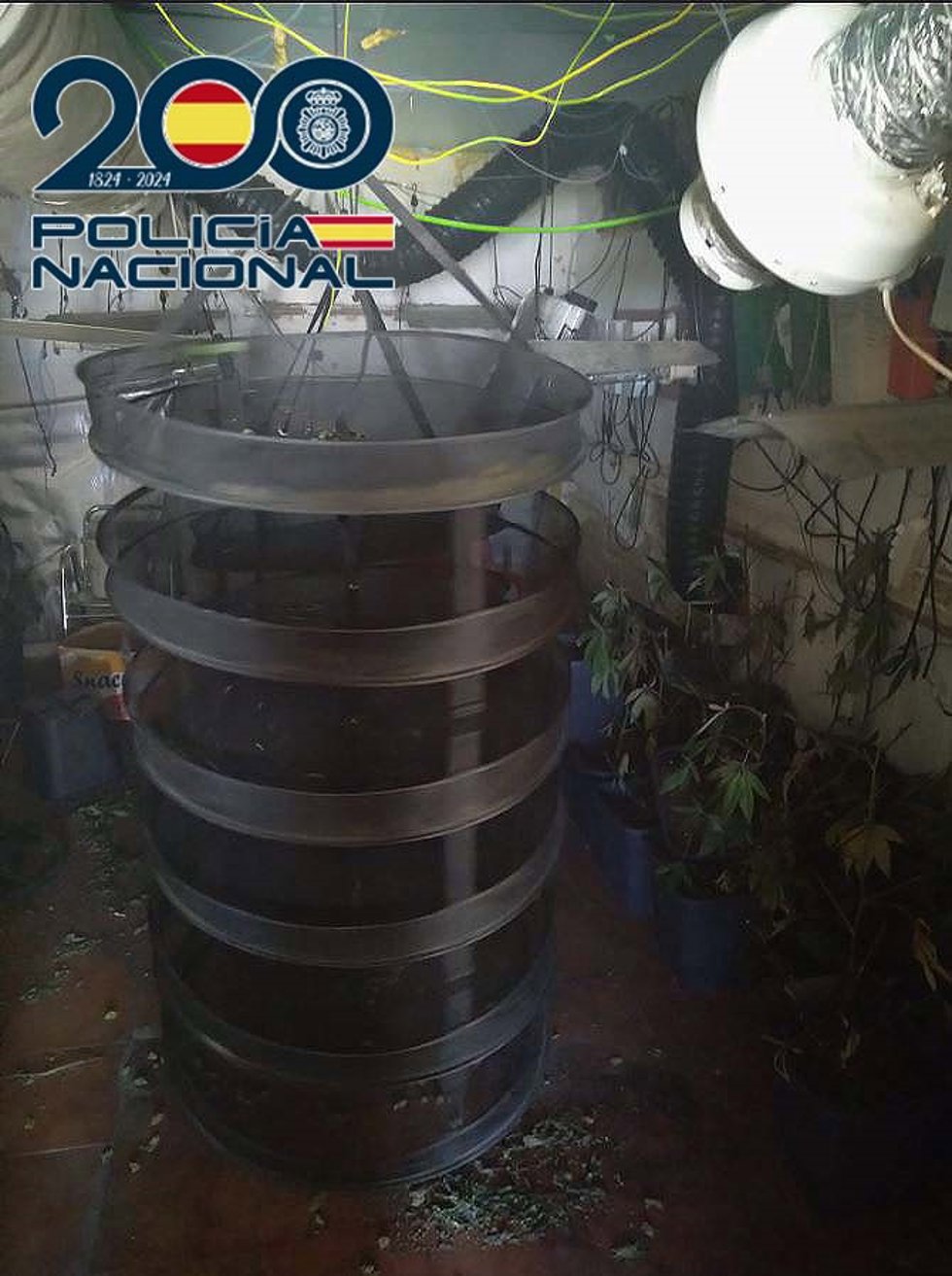 Plantación indoor de marihuana en Badajoz