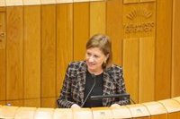 DEA.-PSdeG pide apoyo a sus medidas ante la falta de "apuesta decidida" de la Xunta: "No la encontraría ni Paco Lobatón"