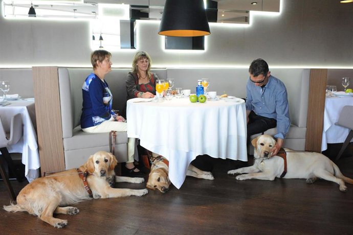 Archivo - Usuarios De Perros Guia Desayunando En Un Restaurante