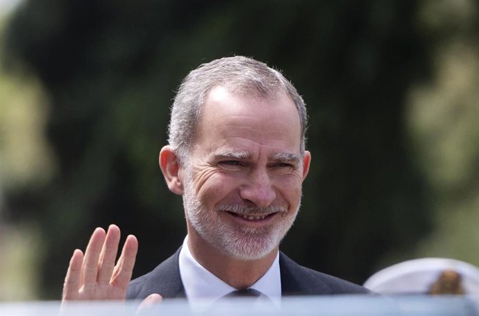El Rey Felipe VI