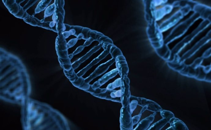 Archivo - Arquivo - Estrutura do DNA