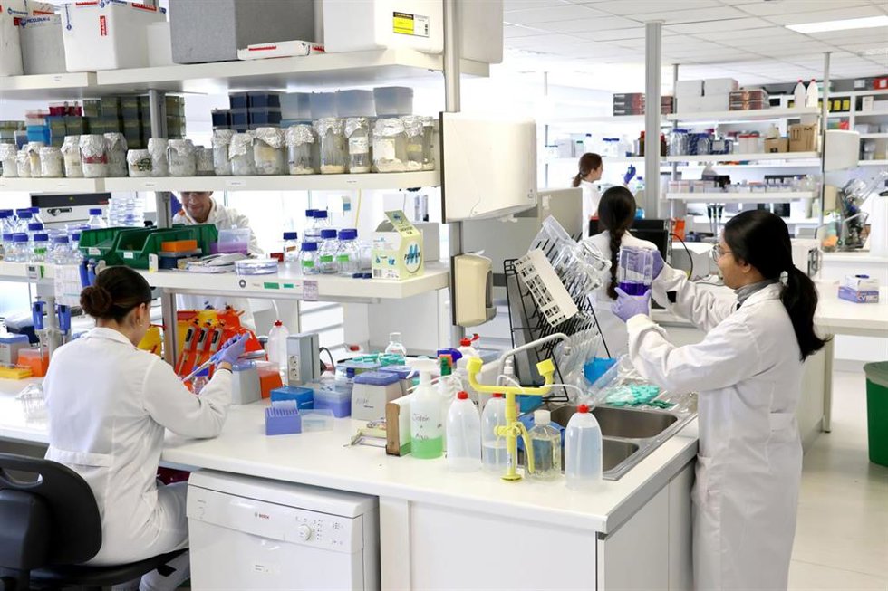 Investigadores del Idival