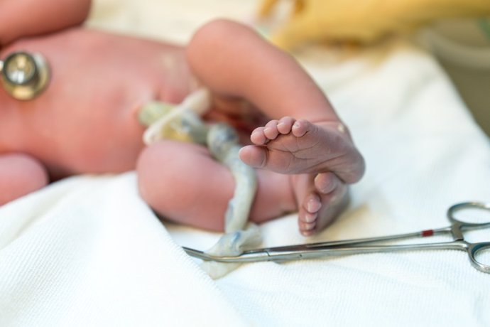 Archivo - New born baby, feet and umbilical cord