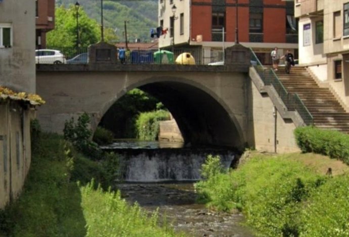 Río Naredo a su paso por Pola de Lena.