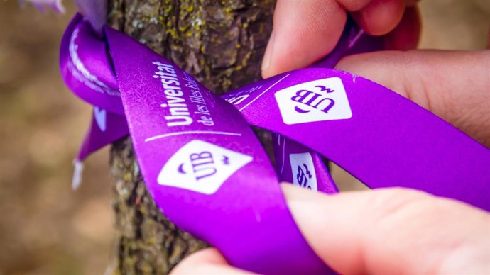 Archivo - Un lazo morado con el logo de la UIB.