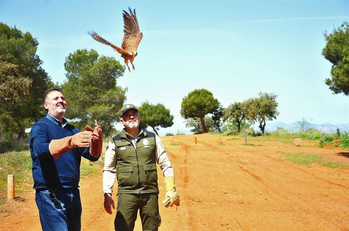 Suelta de aves recuperadas en el CREA de Granada