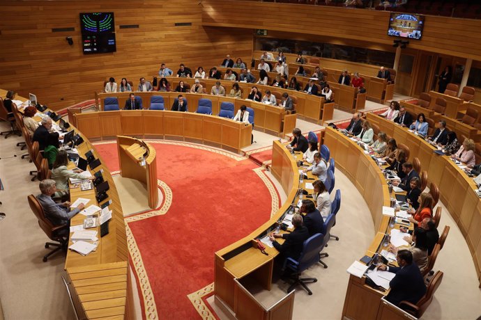 Votación unánime en el Parlamento de Galicia, en un pleno de 2024. Archivo.