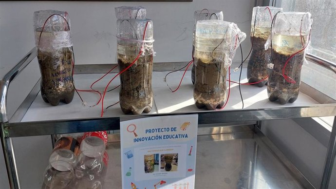 Alumnos trabajando con bacterias en el laboratorio del IES Vicente Medina de Archena