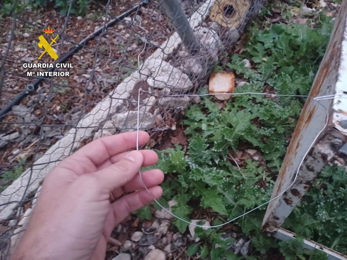 Expedientado por colocar lazos de caza ilegales, que atraparon a un perro en un paseo en Beneixama