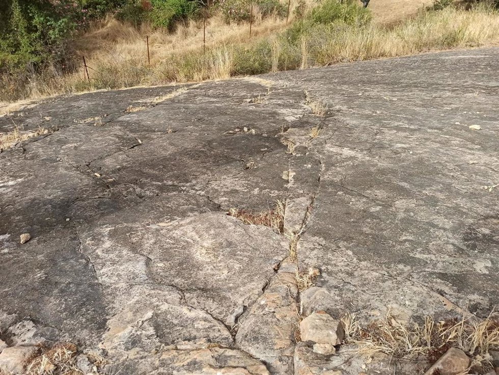 Archivo - Yacimiento de huellas fósiles de medusas del periodo Cámbrico en Constantina