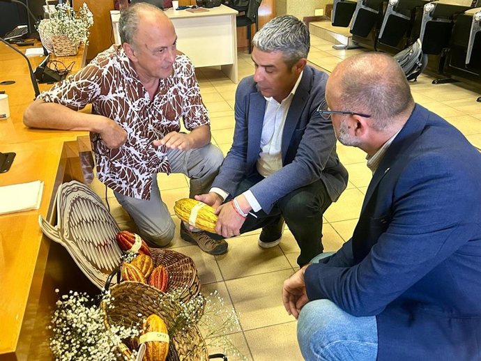 El cacao canario despierta "interés" de empresas españolas en la elaboración de sus chocolates artesanales