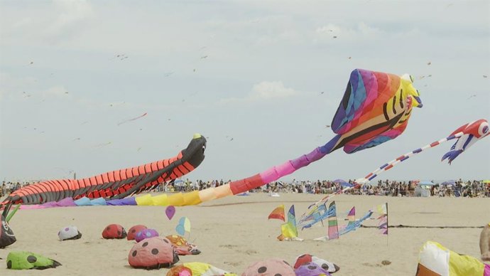 XXIV Festival de Cometas