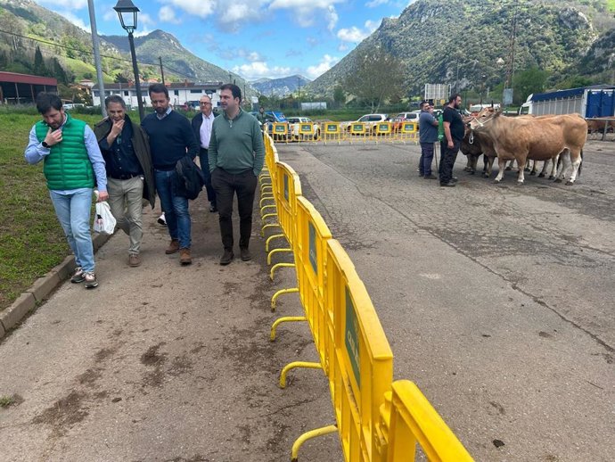 El predsidente del PP, Álvaro Queipo, en la feria ganadera de Asturiana de los Valles de Proaza.