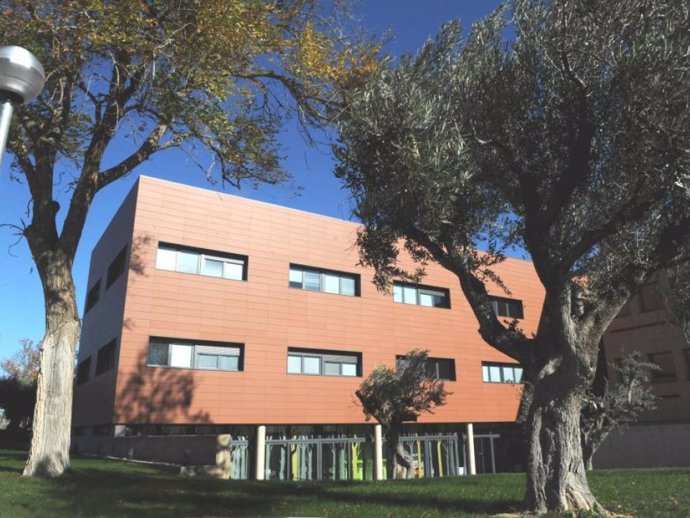 Un estudio llevado a cabo por investigadores del CITA recoge los beneficios que tendría la sociedad de 2050 si se redujera el consumo de azúcar