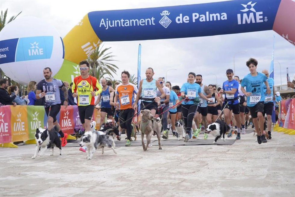 La primera edición de la Cursa Pro Benestar Animal 'Ciutat de Palma' cuenta con unos 370 participantes
