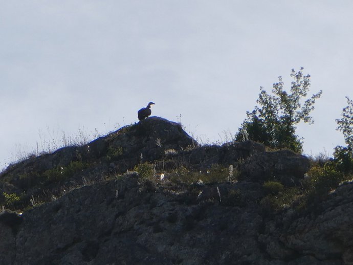 Lugar donde se iba a instalar una vía ferrata