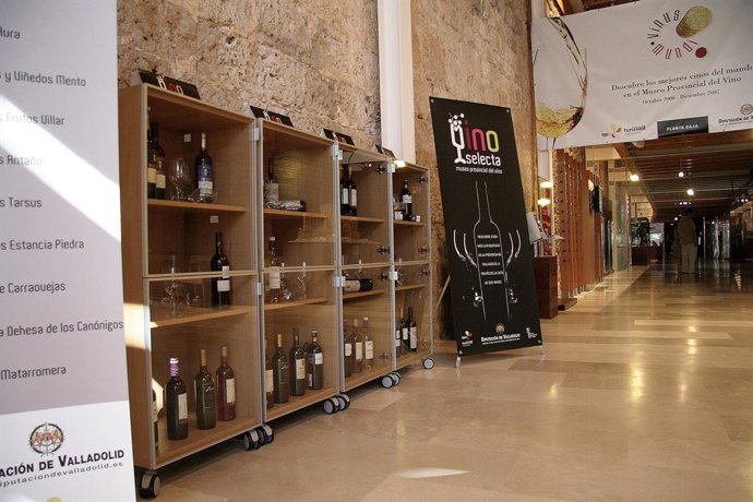 Archivo - Museo del Vino en Peñafiel (Valladolid)