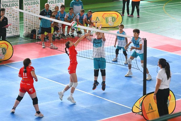 Archivo - Fase final de la Liga Edúcate en el Deporte (LED)