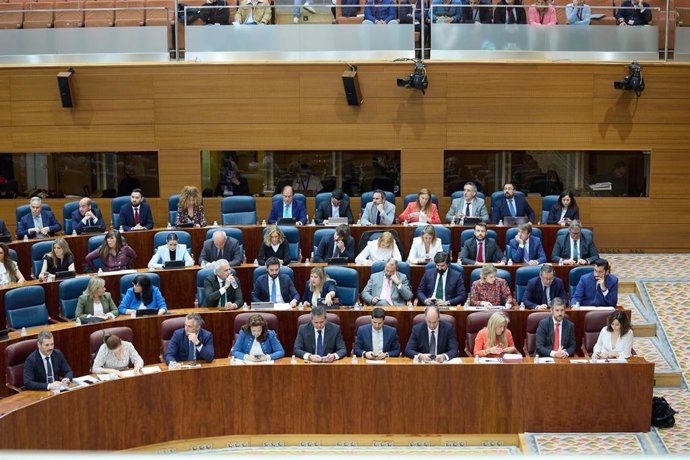 Archivo - Vista de una sesión de control en la Asamblea de Madridal.