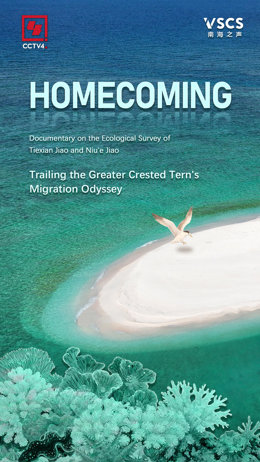 Homecoming First Documentary of Ecological Survey of Tiexian Jiao and Niu’e Jiao Released