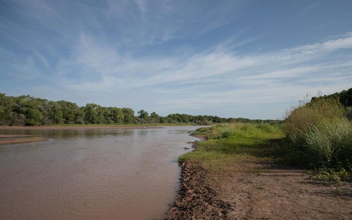 Archivo - 11 de agosto de 2021, EUA: O Rio Grande perto da Ponte Rio Bravo em Albuquerque, Novo México, em 11 de agosto de 2021. Liam DeBonis/para o Albuquerque Journal.